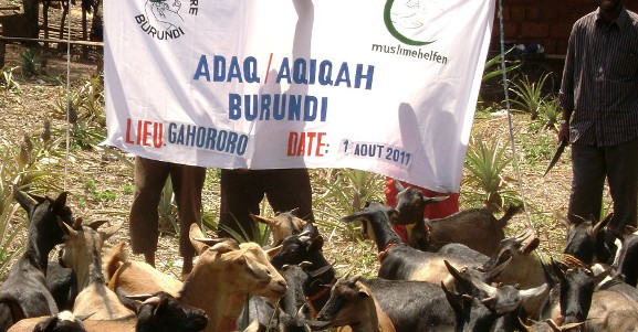 2011-11-18_s4_burundi_ziegen