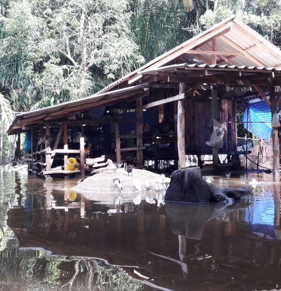 Thailand – Weitere Nothilfe nach Flut in südlichen Provinzen