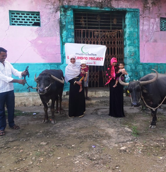 Indien – Milchkühe zur Existenzgründung 2019
