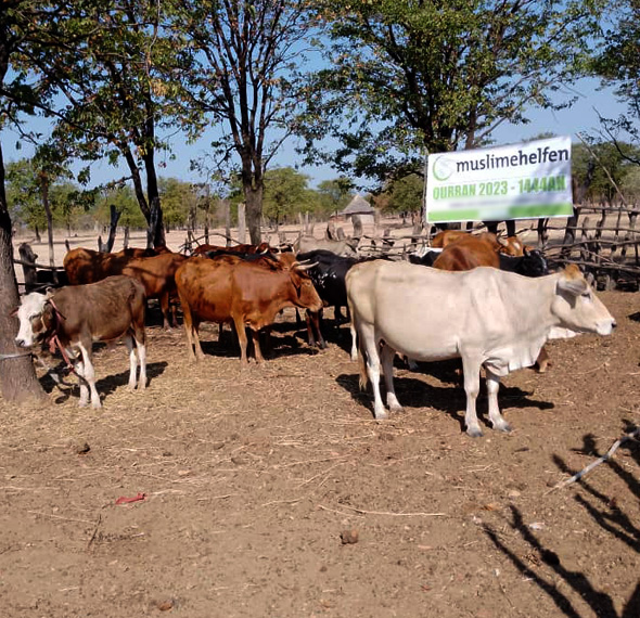 Qurban_2023 (3)_k